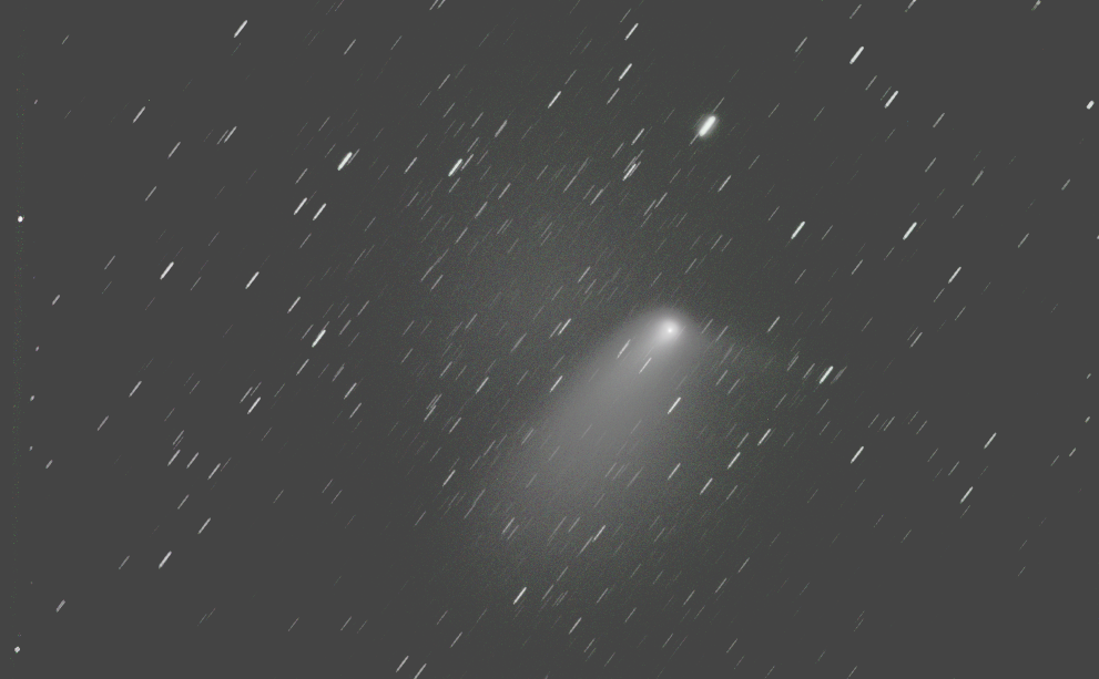 Der Komet C/2011 L4 aufgenommen in Gfell am 14.4.2013 