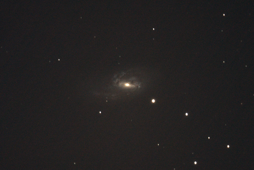 M66 am 7.4.2013 aufgenommen in Santa Luce (Italien) mit EOS 500D, @iso3200, 98*30 Sekunden, C8 mit f/6.